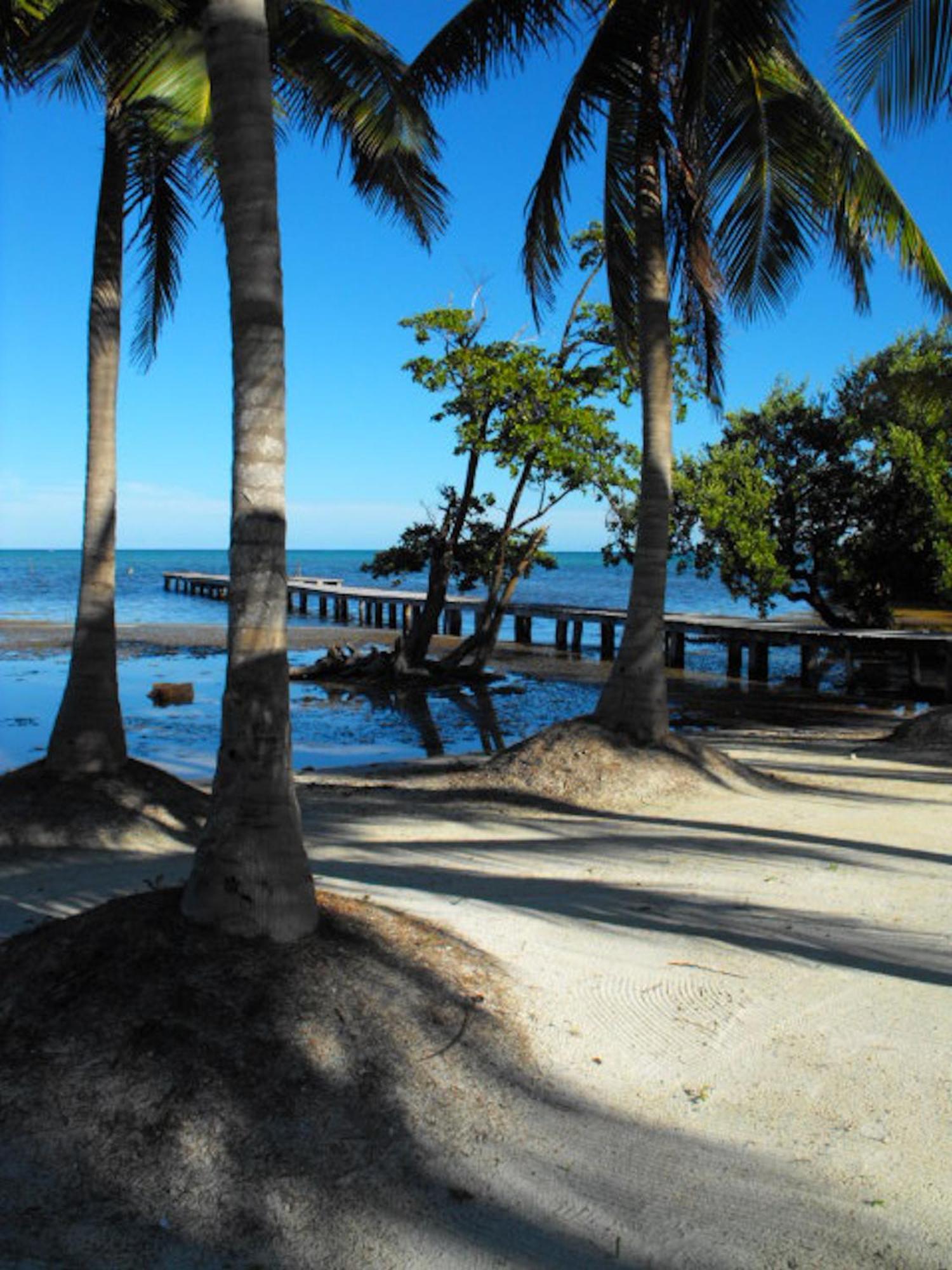 Costa De Cocos Hotel Xcalak Exterior photo