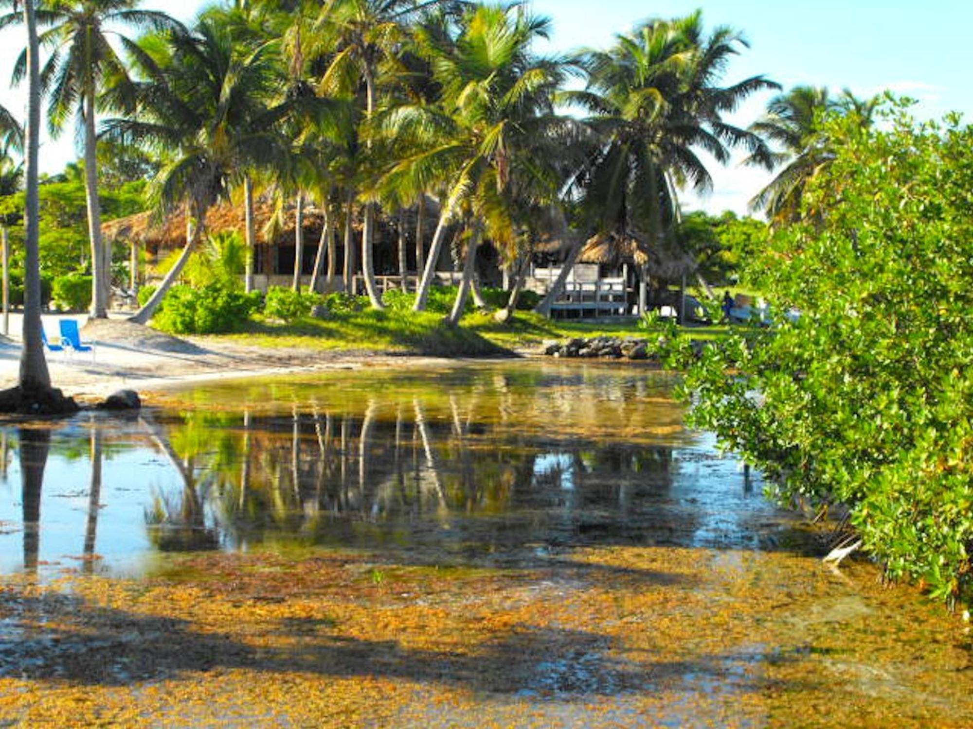 Costa De Cocos Hotel Xcalak Exterior photo